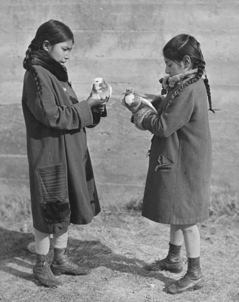 Ancient partnership, From wild beasts to best friends, Biophilia, Caregiving instincts, The brain’s reward centers, Empathy and compassionate hearts, The hierarchy of humanity, Cute vs. creepy, Animals in religion and spirituality, Modern pet parenthood, Lack of exposure, Time, money, and responsibility, Social and cultural pressures, Cruelty and pathology
