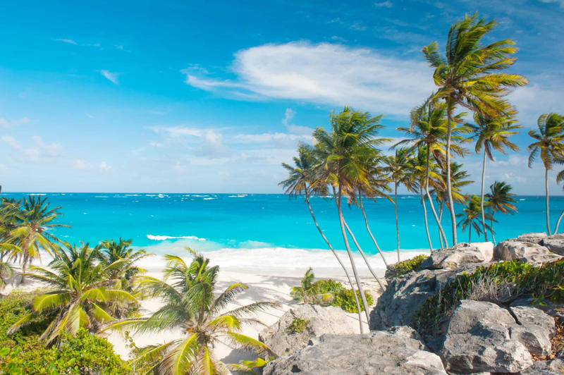 Barbados Epirus, Greece, Eigg, Scotland, Phobjikha Valley, Bhutan, Bardsey Island, Wales, Julian Alps, Slovenia, Tarragona, Spain, Ericeira, Portugal, Panauti, Nepal, Lech-Zurs, Austria, Molise, Italy, Raukumara Forest, New Zealand, Prague, Czech Republic, Brittany, France, Helsinki, Finland, Barbados