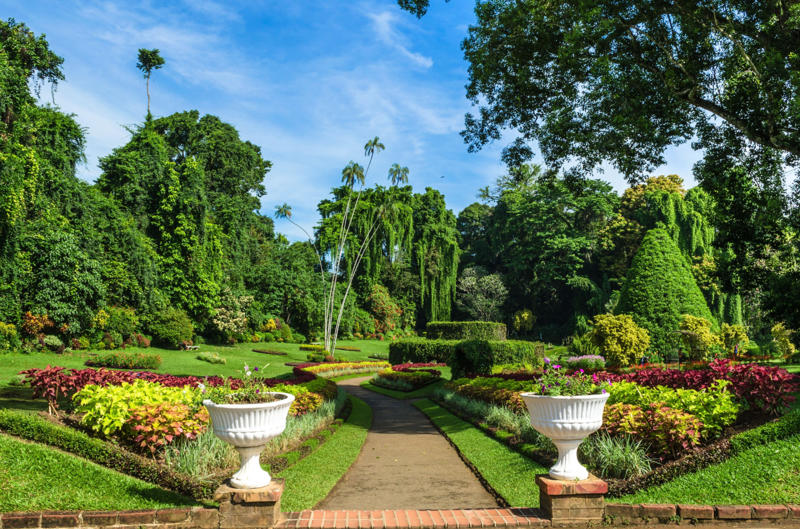 Botanical garden trip Volunteer as a family, Donate to her favorite charity, Send a self-care basket, Start a mother-child book club, Bake together, Go on a bike ride, Go boating, Amusement park trip, Have a cookout to celebrate her, Breakfast in bed, Treat her to a hair day or spa outing, Sing karaoke together, Theater night, Botanical garden trip, Go shopping