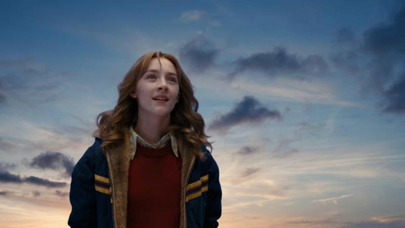 'The Lovely Bones' 'Blue Valentine', 'A Star Is Born', 'The Pursuit of Happyness', 'Boyhood', 'Titanic', 'Mr. Holland's Opus', 'The Notebook', 'The Joy Luck Club', 'Stepmom', 'The Fault in Our Stars', 'Sophie's Choice', 'Selena', 'Marley & Me', 'The Color Purple', 'Call Me by Your Name', 'The Lovely Bones', 'Seven Pounds', 'Mudbound', 'P.S I Love You', 'Terms of Endearment', 'Like Crazy'