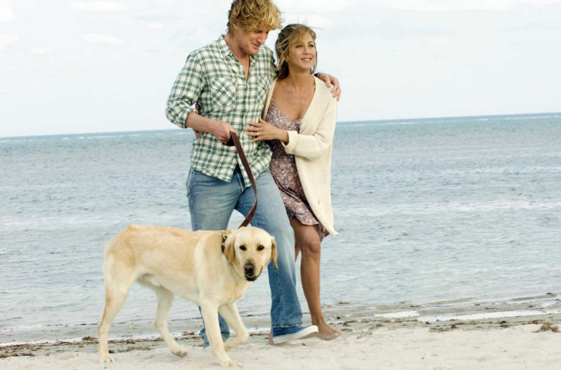 'Marley & Me' 'Blue Valentine', 'A Star Is Born', 'The Pursuit of Happyness', 'Boyhood', 'Titanic', 'Mr. Holland's Opus', 'The Notebook', 'The Joy Luck Club', 'Stepmom', 'The Fault in Our Stars', 'Sophie's Choice', 'Selena', 'Marley & Me', 'The Color Purple', 'Call Me by Your Name', 'The Lovely Bones', 'Seven Pounds', 'Mudbound', 'P.S I Love You', 'Terms of Endearment', 'Like Crazy'