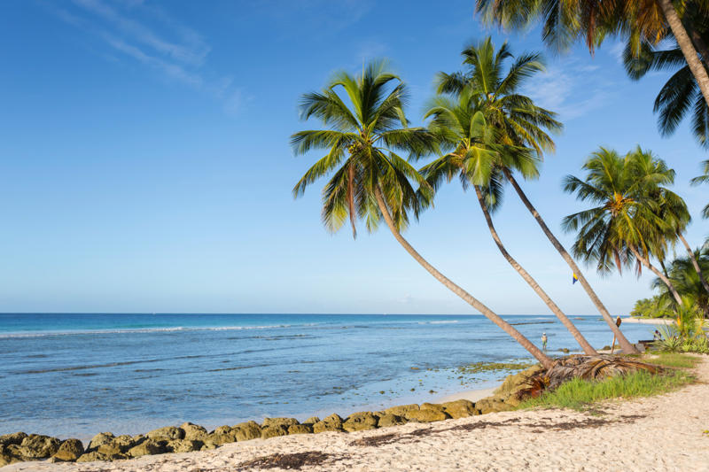 Auckland, New Zealand, Bali, Indonesia, Chiang Mai, Thailand, Kuala Lumpur, Malaysia, Ho Chi Minh City, Vietnam, Lisbon, Portugal, Tbilisi, Georgia, Valletta, Malta, Prague, Czech Republic, Belgrade, Serbia, Medellín, Colombia, San José, Costa Rica, Tulum, Mexico, Nassau, The Bahamas, Bridgetown, Barbados