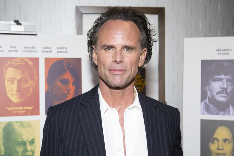 Emmy nomination, Outstanding Supporting Actor in a Drama Series, Walton Sanders Goggins Jr, unexpected star, His beginnings, Goggins's breakthrough in 'The Shield' (2002–08), Small roles in movies and series, Justified (2010-15), Django Unchained (2012), Sons of Anarchy (2012-14), Tomb Raider (2018), Ant-Man and the Wasp (2018), SIX (2017-18), Deep State (2018-19), The Unicorn (2019-21), The Righteous Gemstones (2021-25), Fallout (2024–present), The White Lotus (2025), Personal bond with Thailand