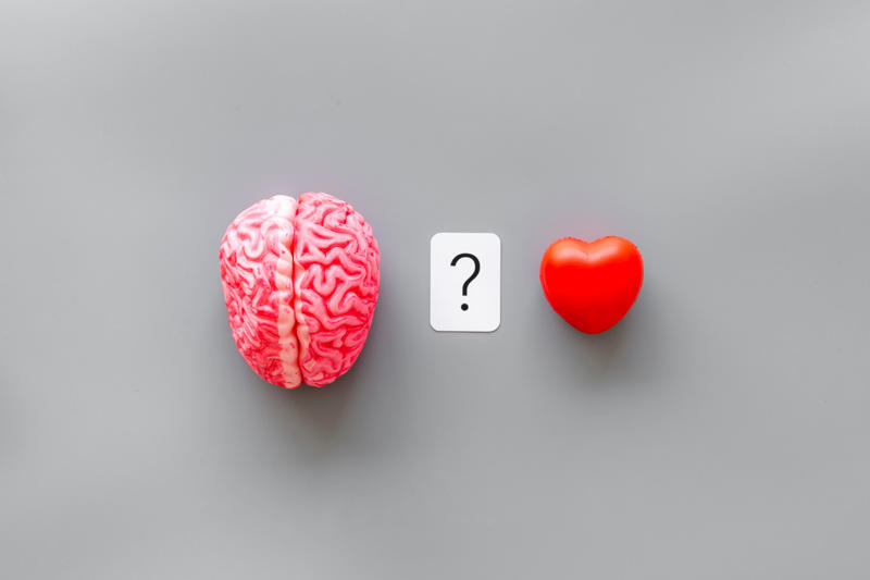 Reward processing, Nucleus accumbens, Unpredictable rewards, Swiping right, Response to choice, Goal alignment, Spoilt for choice, Changes in the brain response, Cue and reward, Dopamine surge, Addictive?, Making lives easier