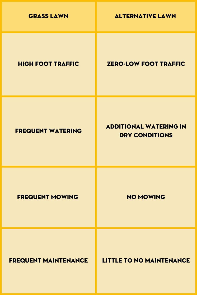 Benefits of having a non-grass lawn , Grass vs lawn alternatives, Different plants you can use as lawn alternatives, Reasons your garden may need a lawn alternative, Installing and growing an alternative lawn , Lawn alternative maintenance and care, Foot traffic on your ‘no-mow’ lawn