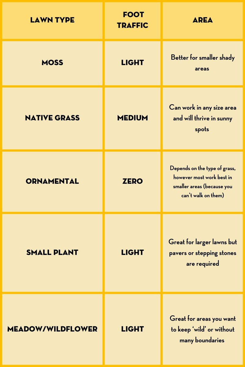 Benefits of having a non-grass lawn , Grass vs lawn alternatives, Different plants you can use as lawn alternatives, Reasons your garden may need a lawn alternative, Installing and growing an alternative lawn , Lawn alternative maintenance and care, Foot traffic on your ‘no-mow’ lawn