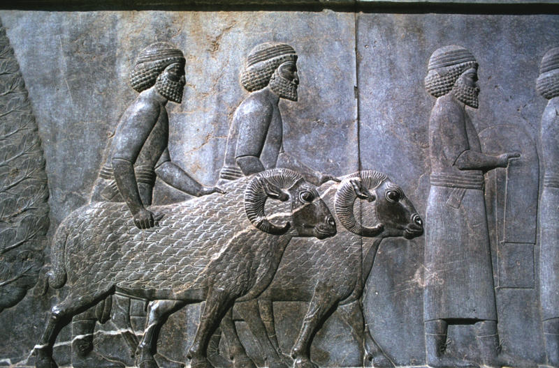 Sogdian Civilization (Central Asia) Nok Culture (Nigeria), Dacian Kingdom (Romania), Sogdian Civilization (Central Asia), Minoan Civilization (Crete), Elamite Civilization (Iran), Bactrian Kingdom (Afghanistan), Harappan Civilization (Indus Valley), Muisca Confederation (Colombia), Kingdom of Kush (Sudan), Nabatean Kingdom (Jordan), Tartessos (Spain and Portugal), Sabaean Kingdom (Yemen), Cucuteni-Trypillian Culture (Eastern Europe), Kingdom of Funan (Southeast Asia), Maurya Empire (India)