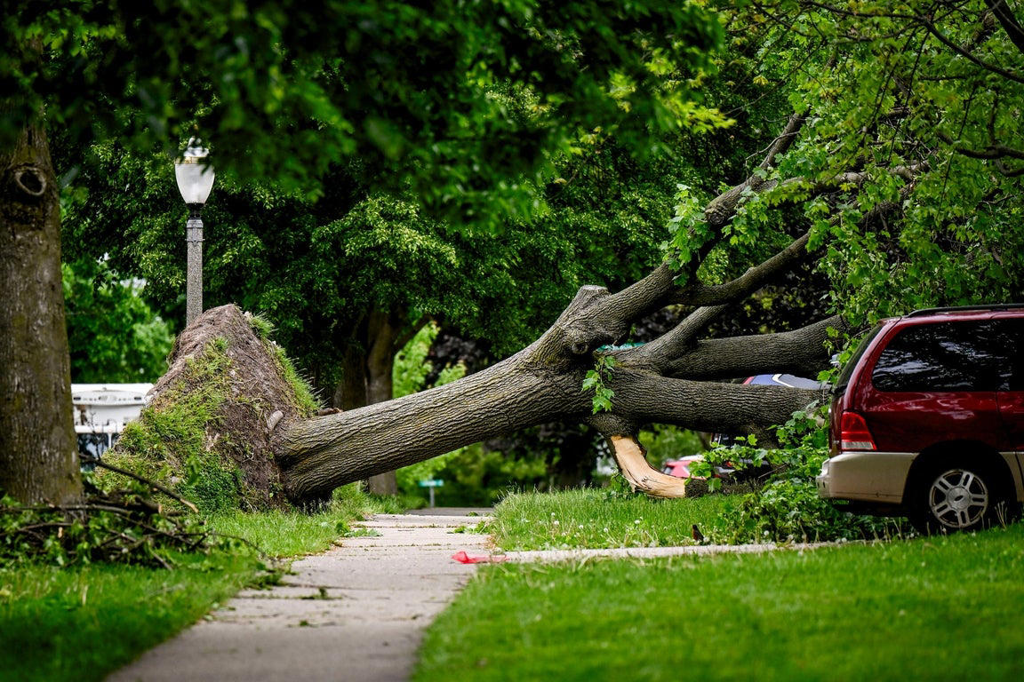 Photos reveal severe damage from overnight storms in Michigan, Wisconsin