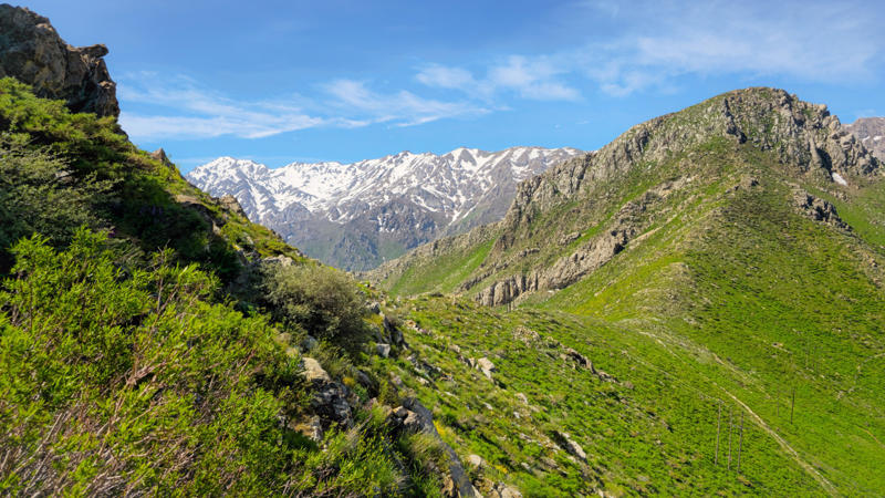 25. Angola, 24. Ecuador, 22. Namibia, 20. Taiwan, 18. Lebanon, 17. Iran, 14. Georgia, 12. Peru, 10. Armenia, 8. Chile, 6. Andorra, 4. Kyrgyzstan, 2. Nepal