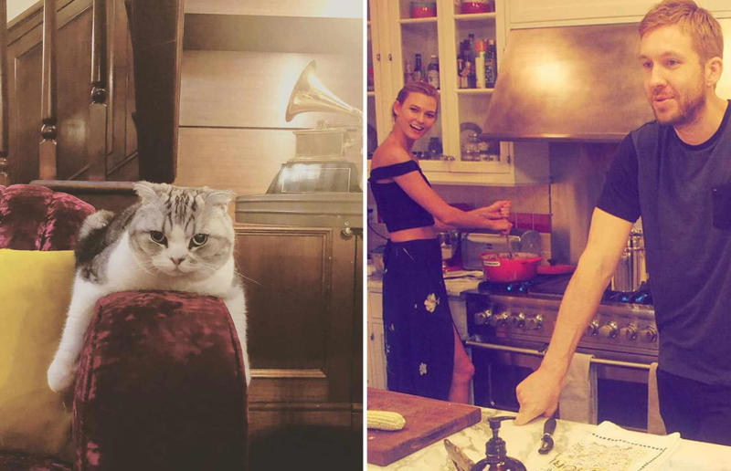 Taylor Swift's homes: from Nashville to New York City, In her billionaire era, Where did Taylor Swift grow up?, Taylor Swift's childhood home on a Christmas tree farm, Taylor Swift's childhood bedroom, Taylor Swift's teenage family home, Taylor Swift's first apartment in Nashville, Taylor Swift's Cape Cod-style home in Beverly Hills, Taylor Swift's grand Nashville estate, Taylor Swift's mid-century modern home in Los Angeles, Taylor Swift's coastal estate in Massachusetts, Taylor Swift's Rhode Island beach mansion, Taylor Swift's Tribeca penthouses, Taylor Swift's landmark Los Angeles mansion, Taylor Swift's Cornelia Street rental in New York City, Taylor Swift's Tribeca townhouse, Taylor Swift's fourth Tribeca apartment, Embracing a slower pace of life