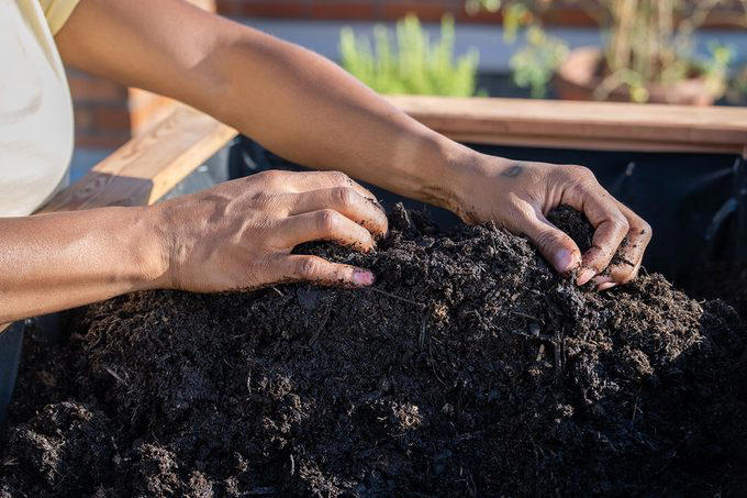 Poor Soil Quality, Soil Not Deep Enough, Poor Drainage, Insufficient Sunlight, Crowded Plantings, Lack of Crop Rotation, Watering Challenges, About the Experts