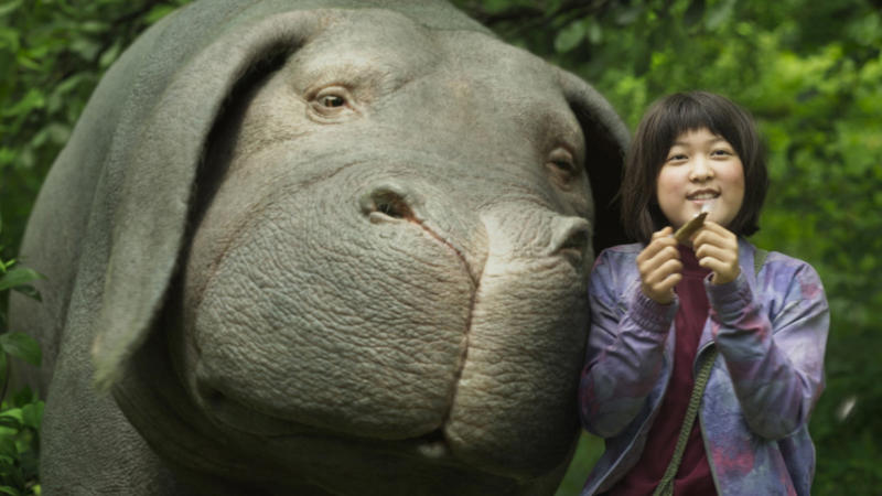 Okja When Netflix senses your emotional slump, Marriage Story, The Boy Who Harnessed the Wind, Violet and Finch, Tick, Tick... Boom!, Pieces of a Woman, Paddleton