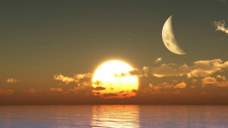 The Moon's brightness is due to the Sun The dark spots on the Moon are called "Maria", The Moon's brightness is due to the Sun, Moonquakes exist, The Moon is about 32 Earths away from us, A dust cloud surrounds the Moon, The Moon temperature, The Moon moves further from the Earth every year, We always see the same side of the Moon, The crust of the Moon varies in thickness, Shadows on the Moon are darker than on Earth, The Moon is just over one-quarter the size of the Earth, The South Pole-Aitken crater is the largest on the Moon, The Moon can affect how we sleep, Lunar eclipse