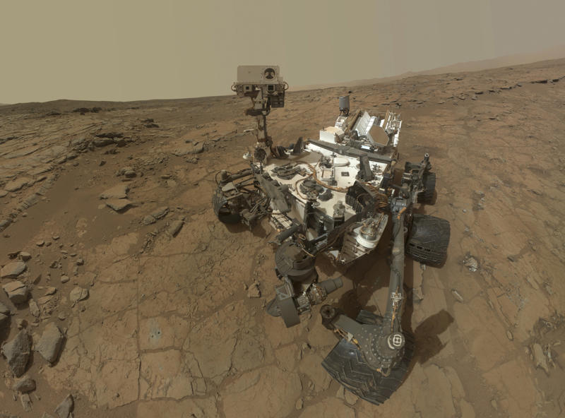 Curiosity the rover Lonesome George, Toughie the frog, Opportunity, the Mars rover, Curiosity the rover, Sudan the rhino, Tree of Ténéré, The world's loneliest island, The "Man of the Hole"