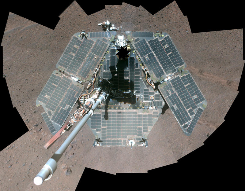 Opportunity, the Mars rover Lonesome George, Toughie the frog, Opportunity, the Mars rover, Curiosity the rover, Sudan the rhino, Tree of Ténéré, The world's loneliest island, The "Man of the Hole"