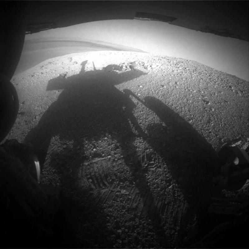Opportunity, the Mars rover Lonesome George, Toughie the frog, Opportunity, the Mars rover, Curiosity the rover, Sudan the rhino, Tree of Ténéré, The world's loneliest island, The "Man of the Hole"