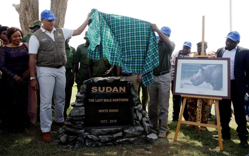 Sudan the rhino Lonesome George, Toughie the frog, Opportunity, the Mars rover, Curiosity the rover, Sudan the rhino, Tree of Ténéré, The world's loneliest island, The "Man of the Hole"