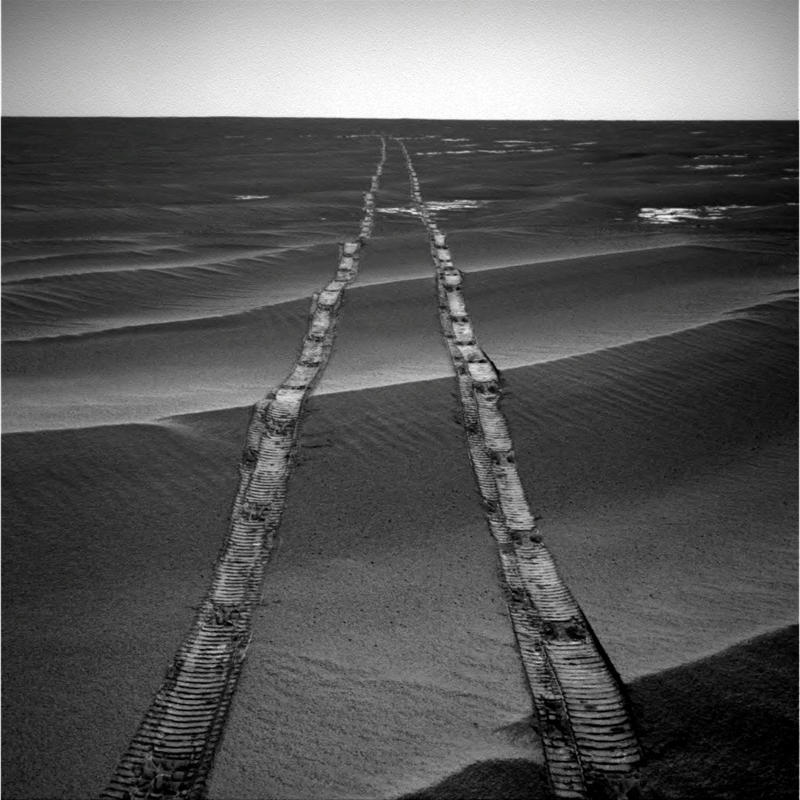 Opportunity, the Mars rover Lonesome George, Toughie the frog, Opportunity, the Mars rover, Curiosity the rover, Sudan the rhino, Tree of Ténéré, The world's loneliest island, The "Man of the Hole"