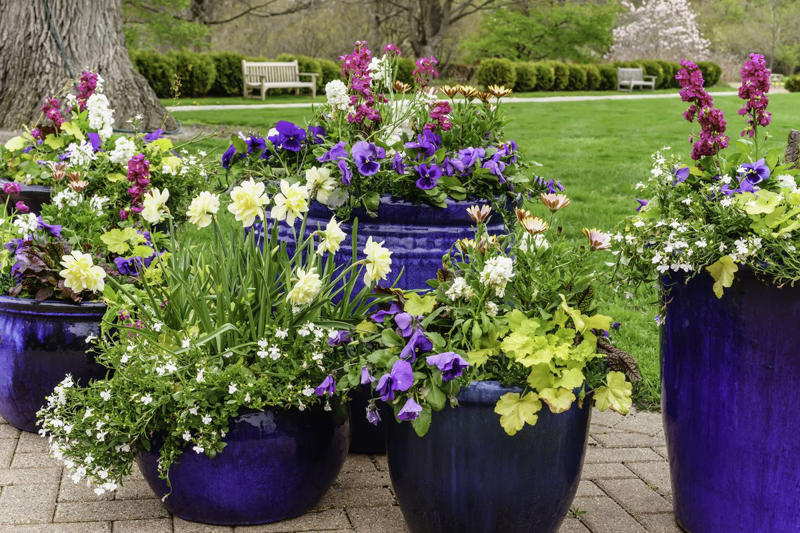 Rushing the Design , Designing a One-Step Grade, Forgetting to Plan for Shade, Overcrowding with Furniture and Plants, Choosing Planters That Are Too Small, Opting for Unnecessary Patio Heaters, Buying Cheap Outdoor Furniture, Orienting the Cook Space the Wrong Way, Overlooking the View from Inside
