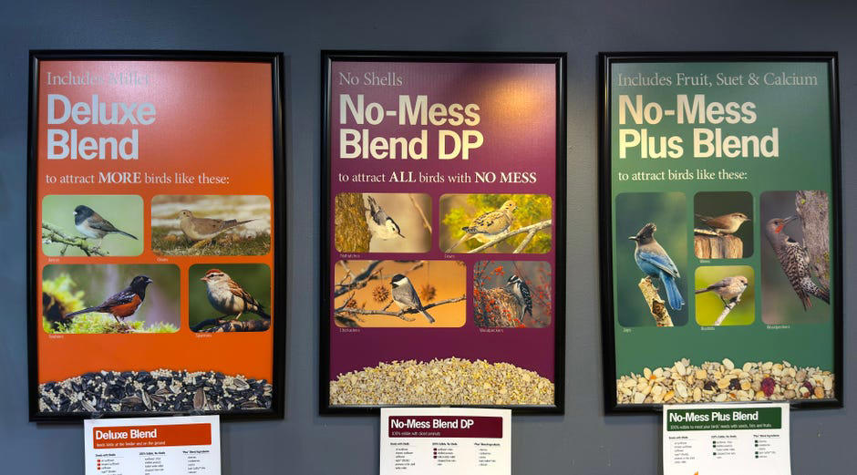 Where is the best place to put your bird feeder?, What type of bird feeder should you use?, What should you feed the birds?, Is it OK to have a bird feeder in your yard?, How often should you clean your bird feeder?, How long will it take for birds to find the feeder?, Too long; didn't read?