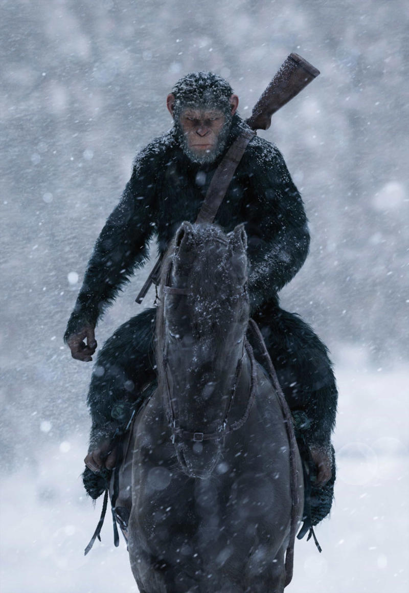'Harry Potter and the Deathly Hallows: Part 2' (2011), 'Ghostbusters' (1984), 'Footloose' (1984), 'Black Panther' (2018), 'The Shawshank Redemption' (1994), 'King Kong' (1933), 'Star Wars: Episode VII: The Force Awakens' (2015), 'V for Vendetta' (2005), 'Mad Max: Fury Road' (2015), 'Braveheart' (1995), 'War for the Planet of the Apes' (2017), 'Shakedown' (1988), 'Gladiator' (2000)
