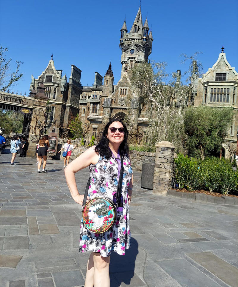 Super Nintendo World, The Wizarding World of Harry Potter — Ministry of Magic, Dark Universe, How to Train Your Dragon — Isle of Berk, Celestial Park, The Hotels