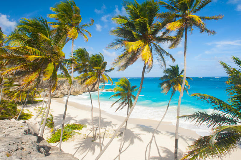Barbados What is the UVI?, Thailand, Singapore, Australia, Barbados