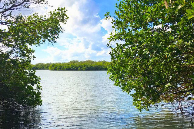 Fuel Up With A Morning Meal, Enjoy River Views And Breezes, Enjoy The Area’s Outdoor Gems, Stop For Lunch At A Brewery, Explore The River, Do A Little Shopping, End The Day With A Memorable Meal