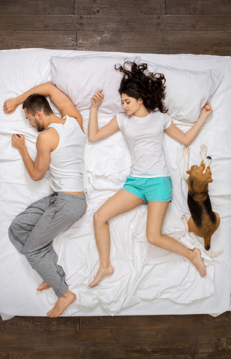 The starfish Impact of sleeping styles, Communication, Evolution of sleeping, Seeking help, Embracing differences, Experimentation, Spooning, Back-to-back, Face-to-face, The space invader, The starfish, The lovers' knot, The space optimizers, Resources, National Institutes of Health