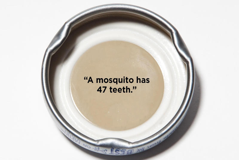 Snapple Fact #50 Snapple Fact #70, Snapple Fact #868, Snapple Fact #89, Snapple Fact #50, Snapple Fact #85