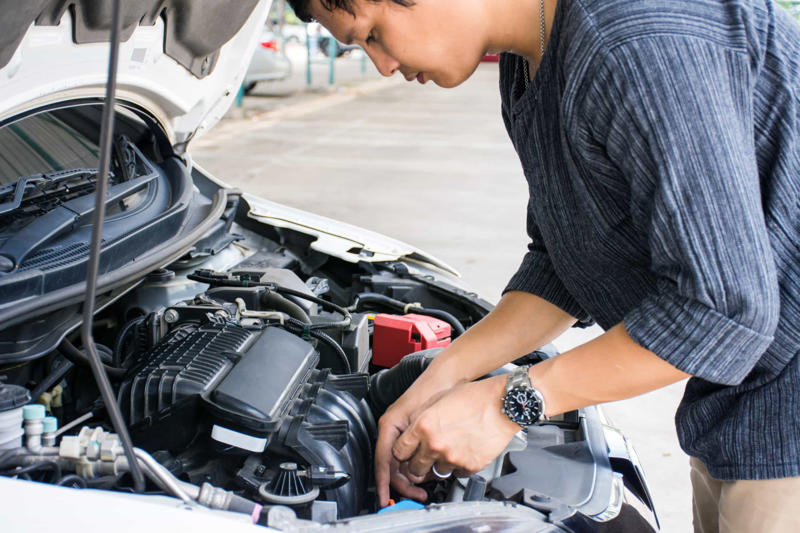 Engine Check the outside, Bodywork, Engine bay, Timing belt, Electrical components, Air conditioning, Transmission, Steering wheel, Documents