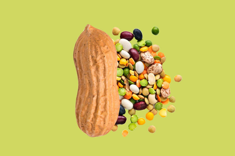 Fact: There are parts of Africa in all four hemispheres, Fact: German chocolate cake was invented in Texas, Fact: The Philippines consists of 7,641 islands, Fact: The Golden Girls dug into more than 100 cheesecakes, Fact: There's enough gold inside Earth to coat the planet, Fact: People can use only a small fraction of Earth's water, Fact: Wally Amos is responsible for making more than just cookies famous, Fact: People once ate arsenic to improve their skin, Fact: Japan has one vending machine for every 23 people, Fact: Professional athletes used to perform in vaudeville during the off-season, Fact: A fungus turns ants into "zombies," controlling their minds and bodies, Fact: A cow-bison hybrid is called a beefalo, Fact: Johnny Appleseed’s fruits weren’t for eating, Fact: The Scottish have 421 words for snow, Fact: Samsung tested phone durability with a butt-shaped robot, Fact: Peanuts aren’t technically nuts, Fact: Firefighters use wetting agents to make water wetter, Fact: “Running amok” is a medically recognized mental condition, Fact: Some octopus species lay 56,000 eggs at a time, Fact: Turkeys can blush, Fact: Cows don’t have upper front teeth, Fact: Thanks to 3D printing, NASA can basically email tools to astronauts, Fact: Bananas grow upside down, Fact: T.S. Eliot wore green makeup, Fact: Human noses and ears lengthen as we age, Fact: The # symbol isn’t officially called hashtag or pound, Fact: Movie trailers originally played after the movie, Fact: Mercedes invented a car controlled by a joystick, Fact: The U.S. government saved every public tweet from 2006 through 2017, Fact: Theodore Roosevelt had a pet hyena, Fact: Giraffe tongues can be 20 inches long, Fact: Europeans were scared of eating tomatoes when they were introduced, Fact: Humans aren’t the only animals that dream, Fact: The Eiffel Tower can grow taller during the summer, Fact: Glitter was discovered by accident, Fact: Frankenstein's monster is a vegetarian, Fact: There are more than 1,000 poisonous marine animals, Fact: Bees can fly higher than Mount Everest, Fact: Ancient Egyptians used dead mice to ease toothaches, Fact: Cap’n Crunch’s full name is Horatio Magellan Crunch, Fact: Paint used to be stored in pig bladders, Fact: Humans have jumped farther than horses, Fact: Onions were found in the eyes of an Egyptian mummy, Fact: The word aquarium once referred to a watering place for cattle, Fact: The inventor of the tricycle personally delivered two to Queen Victoria, Fact: A waffle iron inspired one of the first pairs of Nikes, Fact: Baseball umpires used to sit in rocking chairs, Fact: The world’s first novel may be missing its ending, Fact: Uncle Ben’s rice was sent to World War II troops, Fact: South American river turtles talk through their eggs, Fact: The first stroller was supposed to be pulled by a goat, Fact: Neil Armstrong’s hair was sold in 2004 for ,000, Fact: Nikola Tesla hated pearls, Fact: Brad Pitt injured his Achilles tendon—while playing Achilles, Fact: Pregnancy tests date back to 1350 B.C.E., Fact: Bees can make colored honey, Fact: Albert Einstein’s eyeballs are in New York City, Fact: The pope can’t be an organ donor