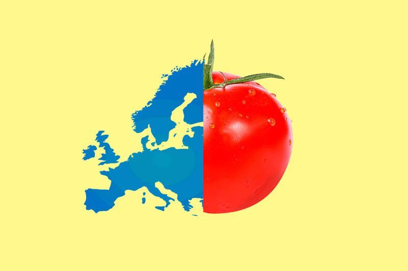 Fact: There are parts of Africa in all four hemispheres, Fact: German chocolate cake was invented in Texas, Fact: The Philippines consists of 7,641 islands, Fact: The Golden Girls dug into more than 100 cheesecakes, Fact: There's enough gold inside Earth to coat the planet, Fact: People can use only a small fraction of Earth's water, Fact: Wally Amos is responsible for making more than just cookies famous, Fact: People once ate arsenic to improve their skin, Fact: Japan has one vending machine for every 23 people, Fact: Professional athletes used to perform in vaudeville during the off-season, Fact: A fungus turns ants into "zombies," controlling their minds and bodies, Fact: A cow-bison hybrid is called a beefalo, Fact: Johnny Appleseed’s fruits weren’t for eating, Fact: The Scottish have 421 words for snow, Fact: Samsung tested phone durability with a butt-shaped robot, Fact: Peanuts aren’t technically nuts, Fact: Firefighters use wetting agents to make water wetter, Fact: “Running amok” is a medically recognized mental condition, Fact: Some octopus species lay 56,000 eggs at a time, Fact: Turkeys can blush, Fact: Cows don’t have upper front teeth, Fact: Thanks to 3D printing, NASA can basically email tools to astronauts, Fact: Bananas grow upside down, Fact: T.S. Eliot wore green makeup, Fact: Human noses and ears lengthen as we age, Fact: The # symbol isn’t officially called hashtag or pound, Fact: Movie trailers originally played after the movie, Fact: Mercedes invented a car controlled by a joystick, Fact: The U.S. government saved every public tweet from 2006 through 2017, Fact: Theodore Roosevelt had a pet hyena, Fact: Giraffe tongues can be 20 inches long, Fact: Europeans were scared of eating tomatoes when they were introduced, Fact: Humans aren’t the only animals that dream, Fact: The Eiffel Tower can grow taller during the summer, Fact: Glitter was discovered by accident, Fact: Frankenstein's monster is a vegetarian, Fact: There are more than 1,000 poisonous marine animals, Fact: Bees can fly higher than Mount Everest, Fact: Ancient Egyptians used dead mice to ease toothaches, Fact: Cap’n Crunch’s full name is Horatio Magellan Crunch, Fact: Paint used to be stored in pig bladders, Fact: Humans have jumped farther than horses, Fact: Onions were found in the eyes of an Egyptian mummy, Fact: The word aquarium once referred to a watering place for cattle, Fact: The inventor of the tricycle personally delivered two to Queen Victoria, Fact: A waffle iron inspired one of the first pairs of Nikes, Fact: Baseball umpires used to sit in rocking chairs, Fact: The world’s first novel may be missing its ending, Fact: Uncle Ben’s rice was sent to World War II troops, Fact: South American river turtles talk through their eggs, Fact: The first stroller was supposed to be pulled by a goat, Fact: Neil Armstrong’s hair was sold in 2004 for ,000, Fact: Nikola Tesla hated pearls, Fact: Brad Pitt injured his Achilles tendon—while playing Achilles, Fact: Pregnancy tests date back to 1350 B.C.E., Fact: Bees can make colored honey, Fact: Albert Einstein’s eyeballs are in New York City, Fact: The pope can’t be an organ donor