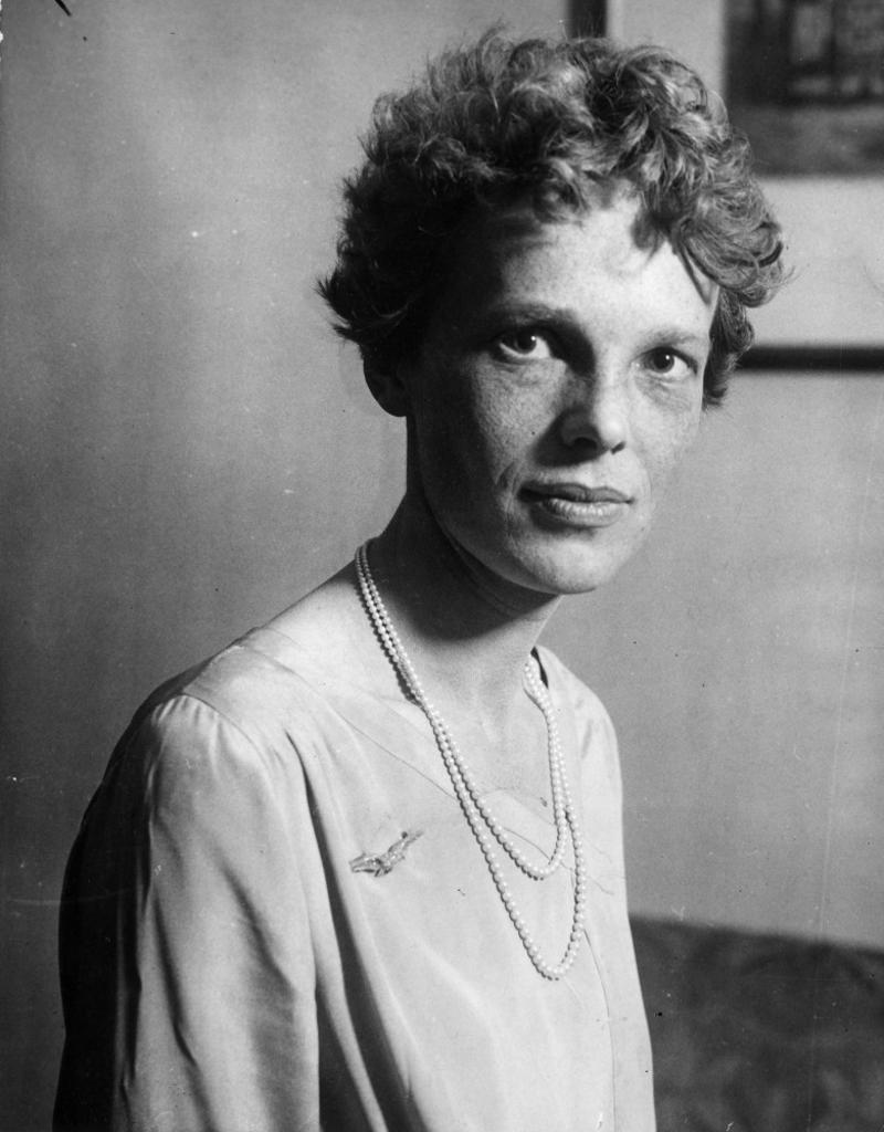 Early life, Queen of the air, Last flight, first attempt, Last flight, second attempt, Disappearance, Declared dead, The plot weakens again, Nikumaroro, Reexamination of the bones, Searching for bones, The working theory, Modern science, His findings, Research, 1929 shipwreck