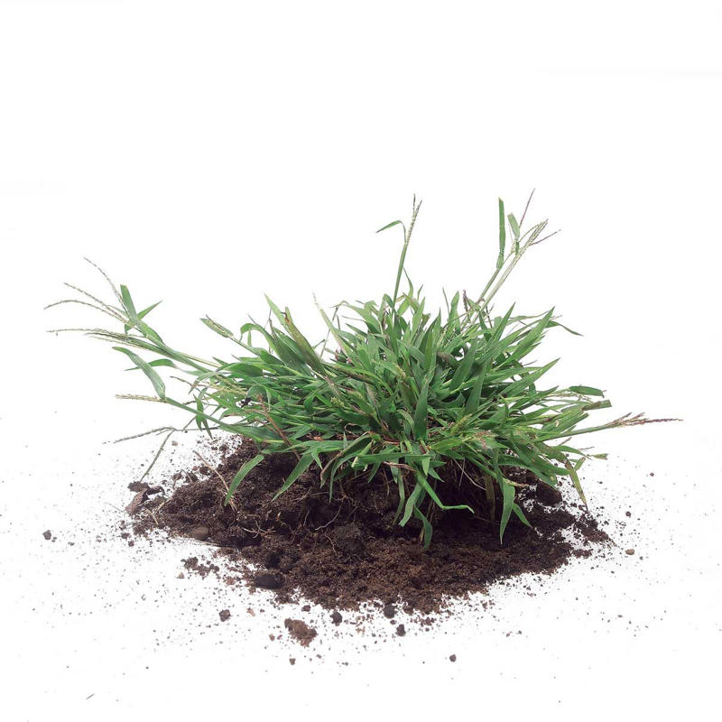 Blade Pulls Up Chucks of Grass or Dirt