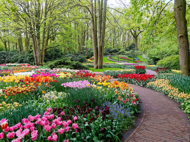 Only visiting Amsterdam, Traveling to popular tourist destinations without planning ahead, Expecting small talk, Walking in the bike lane, Anticipating American-style customer service, Booking accommodations in the city center