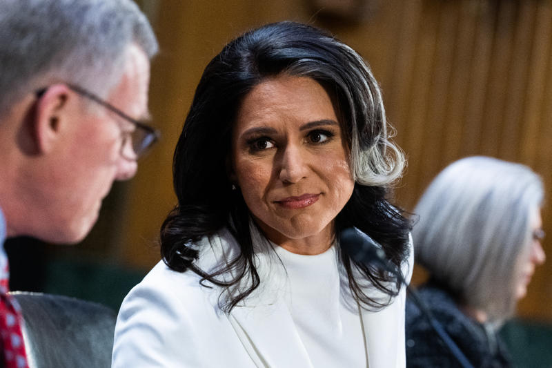 Tulsi Gabbard - US Director of National Intelligence Who do Americans like the most?, What we learned, Important details, Donald Trump - President of the United States, Robert F. Kennedy jr. - US Secretary of Health and Human Services, JD Vance - Vice President, Elon Musk - Senior Advisor to the President, Joe Biden - Former President of the United States, Marco Rubio - US Secretary of State, Alexandria Ocasio-Cortez - US Representative, Mike Johnson - Speaker of the House of Representatives, Tulsi Gabbard - US Director of National Intelligence, Chuck Schumer - US Senate Minority Leader, Pete Hegseth - Secretary of Defense, Pam Bondi - US Attorney General, Vladimir Putin - Russian President