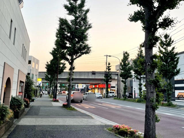 ・1年ぶりの死闘, ・恐ろしくスムーズ, ・出会ってしまった, 帰宅6時間！ 満員電車に乗りたくないので新宿から「シェアサイクル」で退勤しようとしたら…判断をミスって掲載できない感じになった　2ページ目（1ページ目はコチラ）, ・本気でお先真っ暗, ・ピンチに次ぐピンチ, ・いきなり珍スポット, ・ミッション達成