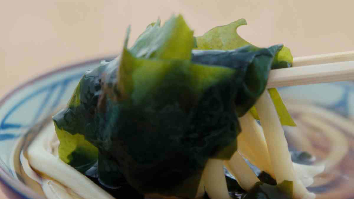 『かけうどん（温）』×「わかめ」, 『釜玉うどん（温）』×「しび辛ラー油」, シャキシャキとした食感と風味「青ねぎ」  , すっきりを、旨みにも、香りにも。「おろししょうが」, サクッと足せる、食感の楽しさ。「天かす」, さわやかに香る、特製七味「香七味（かおりしちみ）」, 風味豊かな香りに「すりごま」, いつもの一杯を、ちょっと上品に「わさび」