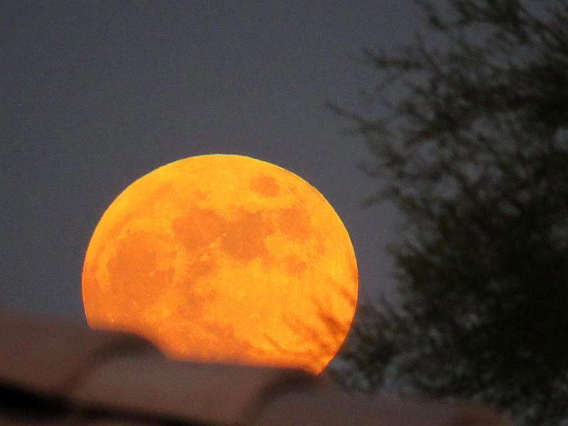 When is the next full moon?, When was the last full moon?, Is there a supermoon in July 2025?, Why is July's full moon called the Buck Moon?, Full moon names 2025, Best way to view the full moon in California 