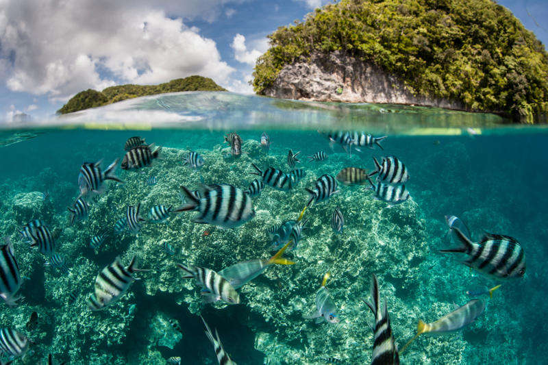 5. Micronesia 10. Guinea-Bissau, 9. Comoros, 8. São Tomé and Príncipe, 7. Solomon Islands, 6. Montserrat, 5. Micronesia, 4. Kiribati, 2. Marshall Islands, 1. Tuvalu