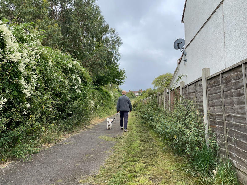 How to try the ‘Japanese walking’ method, Benefits of Japanese walking, What happened when I tried Japanese walking, Benefits of the Japanese walking method, Potential drawbacks of the Japanese Walking method, The Japanese walking method: the verdict