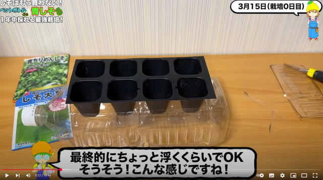 必要なのはペットボトルと窓際スペースだけ , 寒い季節でも育つ？秋冬栽培の工夫, シソをおいしく楽しむ活用法と保存術 , Q&amp;Aでさらにわかる！シソ栽培の疑問 