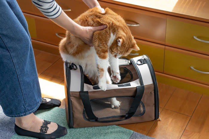 1.おとなしくさせてからバッグに入れる, 狭い場所に入れる, つまみ誘発性行動抑制を利用する, 2.キャリーバッグへの印象を「良い」ものに変える, 3.動物病院への印象を「良い」ものに変える