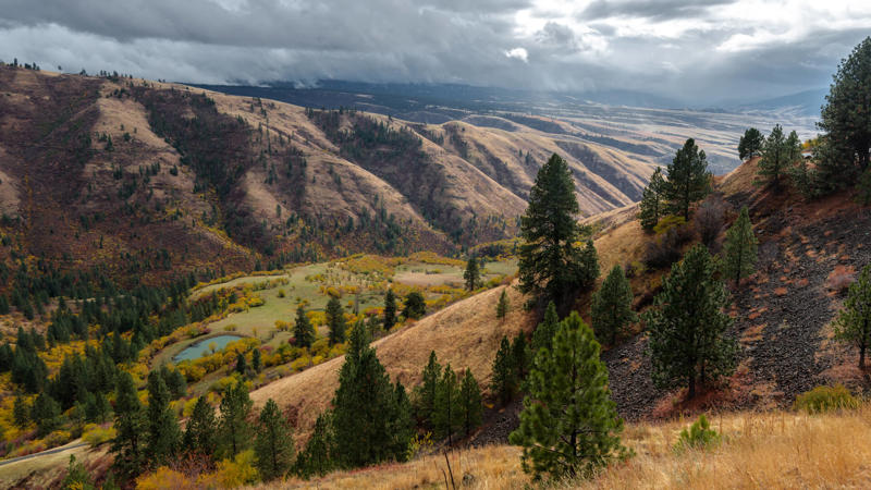 Idaho Arkansas, California, Connecticut, Delaware, Illinois, Kentucky, Maryland, Massachusetts, Minnesota, Mississippi, Missouri, Nebraska, New Hampshire, New Mexico, New York, North Carolina, Oklahoma, Rhode Island, South Carolina, South Dakota, Washington, West Virginia, Wisconsin