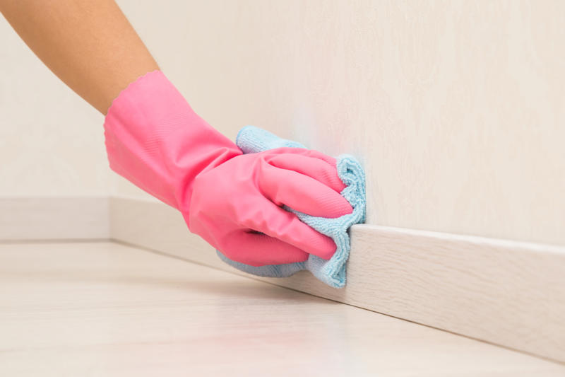 Baseboards Coffee maker, Above your kitchen cabinets, Kitchen sponge, Keyboards, Inside the refrigerator, Kitchen sink, Spice jars, Dishwasher, Wastebasket, Range hood interior, Window tracks, Blender gasket, Baseboards