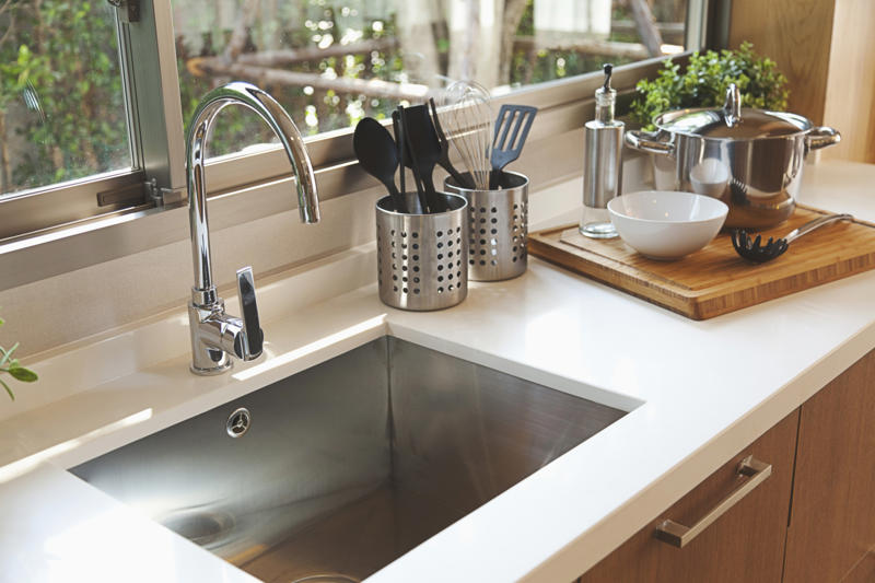 Kitchen sink Coffee maker, Above your kitchen cabinets, Kitchen sponge, Keyboards, Inside the refrigerator, Kitchen sink, Spice jars, Dishwasher, Wastebasket, Range hood interior, Window tracks, Blender gasket, Baseboards