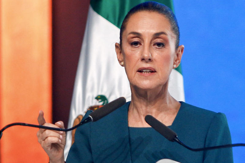 Sheinbaum is not impressed, Fishing village, Permission from the Mexican Navy, Three possible reasons, Harrasment, Looking into details, 'International cooperation', Previous controversy, “Highly unusual”