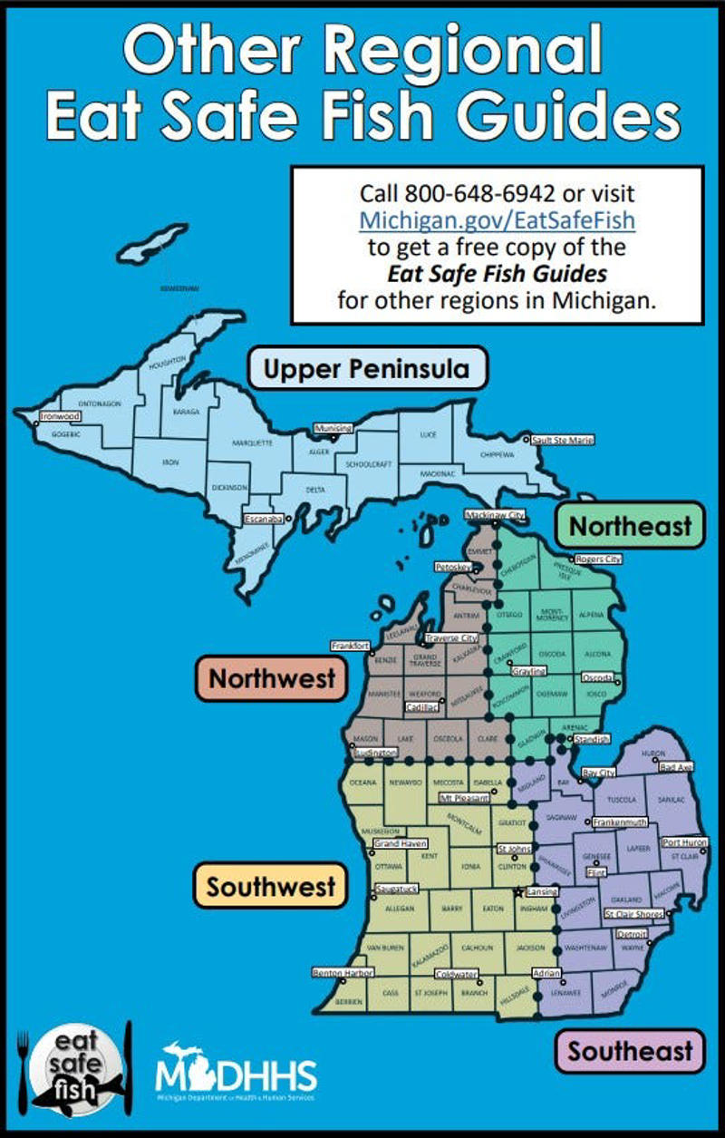 What are the suggested portions for eating fish in Michigan?, What are the most common fish caught in Michigan? , Which Michigan rivers or lakes should I not eat fish from?, How often is Michigan's Eat Safe Fish Guide updated?, Is it safe to touch a fish that contains chemicals? 
