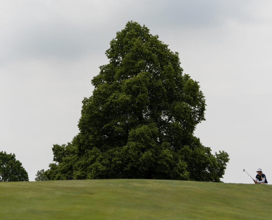 Fantastic women's golf photos from this weekend's LPGA Classic